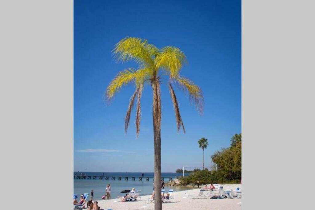 Bay View, Studio206, Beach Steps Away! Pool+Wifi Ruskin Esterno foto